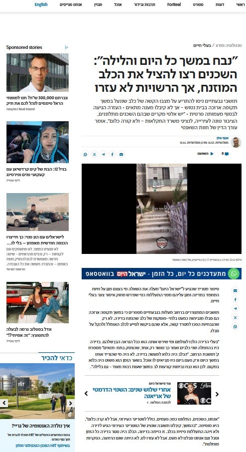 הזנחת בעלי חיים וחוסר אכיפה מצד הרשויות