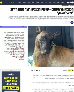 הכלב אותר מסומם