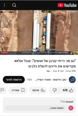 _גם אני הייתי קורבן של אנשים__ ענבל ועלאא מקדישים את חייהם להצלת כלבים